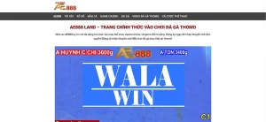 Khám Phá Trang AE888 Land trang Web xem đá gà thomo
